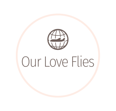 Our Love Flies